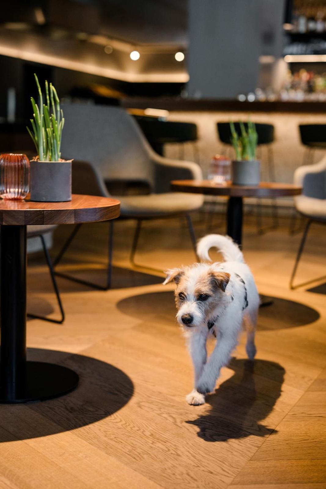 Hotel Bergzeit Grossarl Ngoại thất bức ảnh